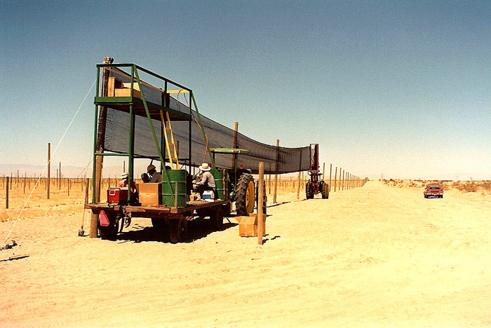 Installation of Windbreak.